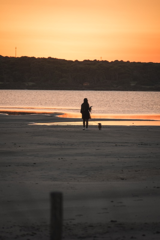Pet friendly in Sardegna
