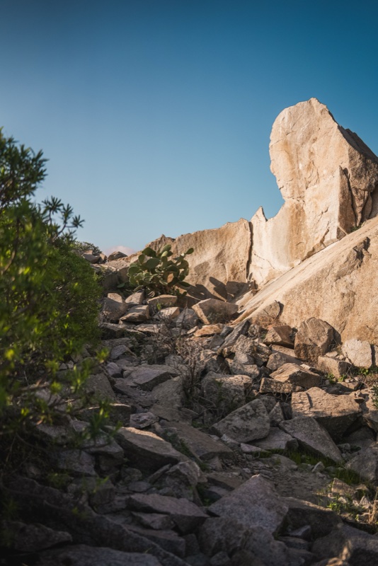 Gift Card flessibile